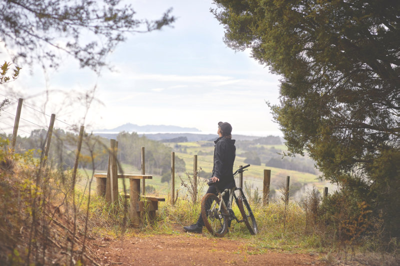 A man with a bike is stopped by a fence admiring the view