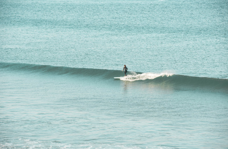 A surfer on a wave